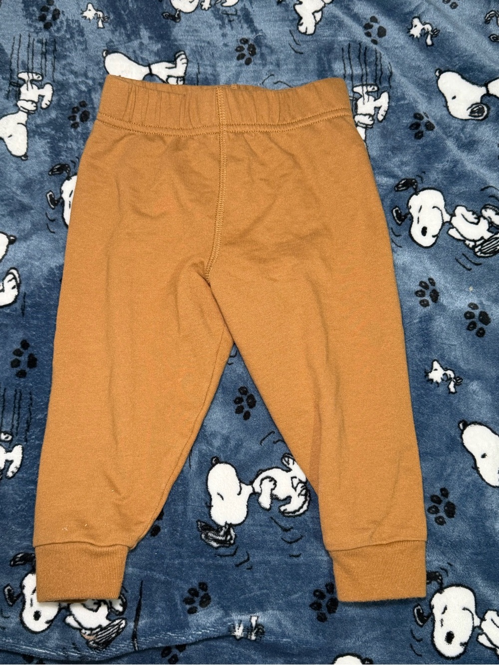 Garanimals 18 month Toddler Boy pant brown